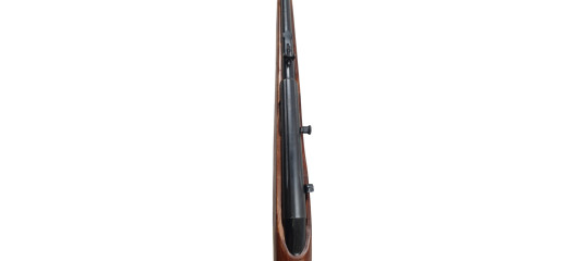 BRADERIE OCCASION - CARABINE SEMI-AUTO NEW HAVEN BY MOSSBERG 453T CAL.22LR