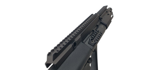 CARABINE DE TIR STEYR AUG A3 Z QCB LRD M II CAL.223 Rem. CANON 417mm