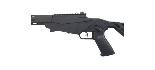 PROMO DESTO - CARABINE RUGER PRECISION RIMFIRE CAL.22LR CANON 18"