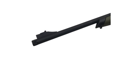 CARABINE SEMI-AUTO KRAL KR22 GREEN CAL.22LR + LUNETTE 3-9x40 - CATEGORIE B