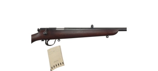 OCCASION JARDIN - CARABINE MONOCOUP BSA CAL.22LR