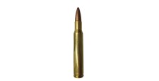 DESTO AMMO - BOITE DE 19 CARTOUCHES REMINGTON 30-06 CORE-LOKT 180GRS