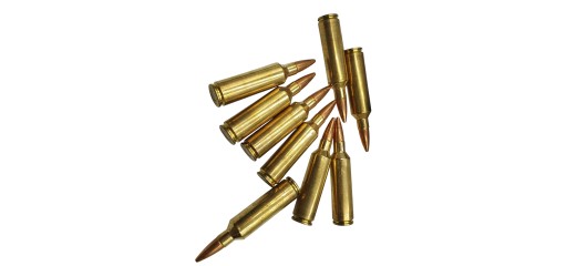 DESTO AMMO - LOT DE 29 MUNITIONS NORMA CALIBRE 270WSM DIVERS OGIVES