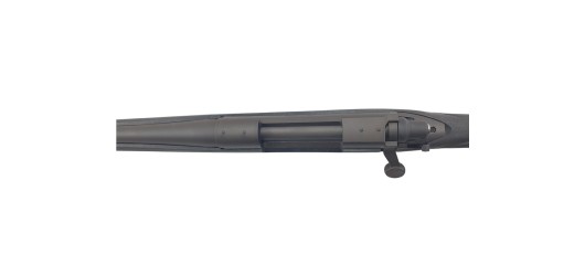 OFFRE REMINGTON - CARABINE REMINGTON 700SPS GAUCHER NOIR CAL.30-06 FILETÉE