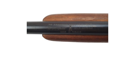 FOIRE OCCASION - CARABINE SCOLAIRE BSA MONOCOUP SPORTSMAN CAL.22LR