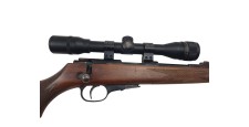 FOIRE OCCASION - CARABINE CARL WALTHER CAL.22LR + LUNETTE NIKKO STIRLING 4X32 + MODERATEUR