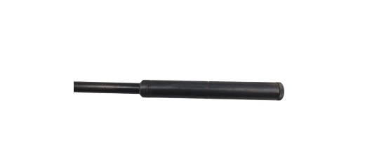 FOIRE OCCASION - CARABINE CARL WALTHER CAL.22LR + LUNETTE NIKKO STIRLING 4X32 + MODERATEUR