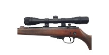 FOIRE OCCASION - CARABINE CARL WALTHER CAL.22LR + LUNETTE NIKKO STIRLING 4X32 + MODERATEUR