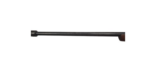 FOIRE OCCASION - CARABINE CARL WALTHER CAL.22LR + LUNETTE NIKKO STIRLING 4X32 + MODERATEUR