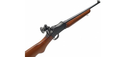 FOIRE OCCASION - CARABINE SCOLAIRE BSA MARTINI 22LR CROSSE ENFANT