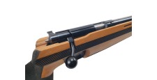 FOIRE OCCASION - CARABINE SCOLAIRE ANSCHUTZ MATCH 54 CAL.22LR  CROSSE ERGO + PLAQUE A CROCHET