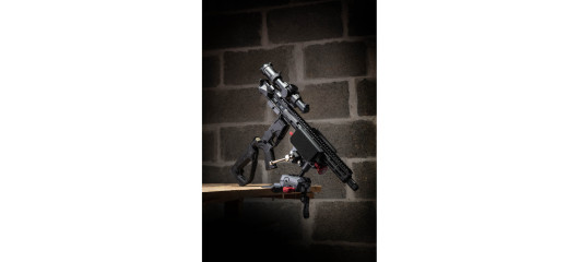 DESTOCKAGE  - ETAU D'ARMURIER REAL AVID