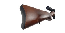 RUGER OCCASION - CARABINE SEMI-AUTO RUGER 10/22 FILETÉE CAL.22LR + LUNETTE SIMMONS 3-9x50 + MODERATEUR