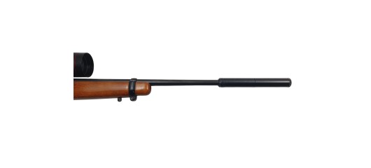 RUGER OCCASION - CARABINE SEMI-AUTO RUGER 10/22 FILETÉE CAL.22LR + LUNETTE SIMMONS 3-9x50 + MODERATEUR