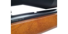 RUGER OCCASION - CARABINE SEMI-AUTO RUGER 10/22 FILETÉE CAL.22LR + LUNETTE SIMMONS 3-9x50 + MODERATEUR