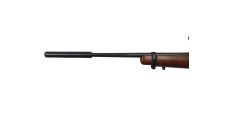 RUGER OCCASION - CARABINE SEMI-AUTO RUGER 10/22 FILETÉE CAL.22LR + LUNETTE SIMMONS 3-9x50 + MODERATEUR