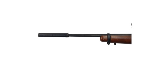 RUGER OCCASION - CARABINE SEMI-AUTO RUGER 10/22 FILETÉE CAL.22LR + LUNETTE SIMMONS 3-9x50 + MODERATEUR