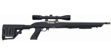 RUGER OCCASION - CARABINE SEMI-AUTO RUGER 10/22 INOX CUSTOM FILETÉE CAL.22LR + LUNETTE BUSHNELL 3-9x40