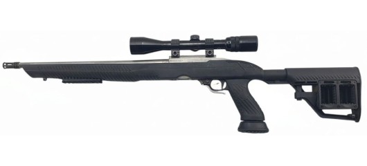 RUGER OCCASION - CARABINE SEMI-AUTO RUGER 10/22 INOX CUSTOM FILETÉE CAL.22LR + LUNETTE BUSHNELL 3-9x40
