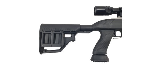 RUGER OCCASION - CARABINE SEMI-AUTO RUGER 10/22 INOX CUSTOM FILETÉE CAL.22LR + LUNETTE BUSHNELL 3-9x40