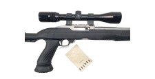 RUGER OCCASION - CARABINE SEMI-AUTO RUGER 10/22 INOX CUSTOM FILETÉE CAL.22LR + LUNETTE BUSHNELL 3-9x40