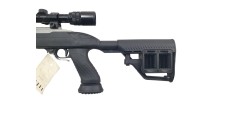 RUGER OCCASION - CARABINE SEMI-AUTO RUGER 10/22 INOX CUSTOM FILETÉE CAL.22LR + LUNETTE BUSHNELL 3-9x40