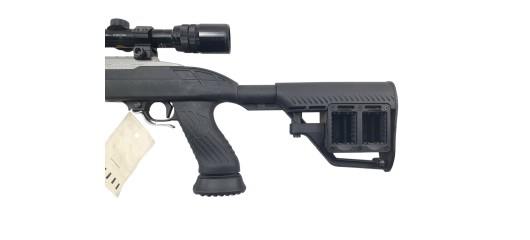 RUGER OCCASION - CARABINE SEMI-AUTO RUGER 10/22 INOX CUSTOM FILETÉE CAL.22LR + LUNETTE BUSHNELL 3-9x40