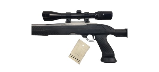 RUGER OCCASION - CARABINE SEMI-AUTO RUGER 10/22 INOX CUSTOM FILETÉE CAL.22LR + LUNETTE BUSHNELL 3-9x40