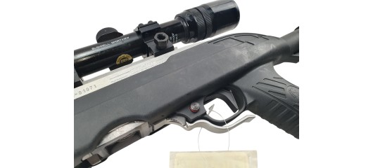 RUGER OCCASION - CARABINE SEMI-AUTO RUGER 10/22 INOX CUSTOM FILETÉE CAL.22LR + LUNETTE BUSHNELL 3-9x40
