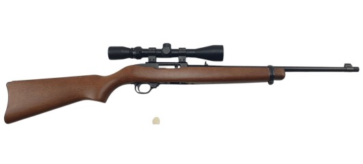 RUGER OCCASION - CARABINE SEMI-AUTO RUGER 10/22 FILETÉE CAL.22LR + LUNETTE BUSHNELL 3-9x40