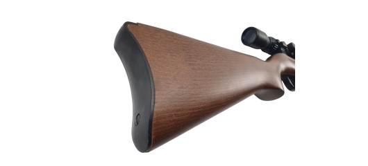 RUGER OCCASION - CARABINE SEMI-AUTO RUGER 10/22 FILETÉE CAL.22LR + LUNETTE BUSHNELL 3-9x40