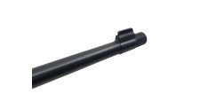 RUGER OCCASION - CARABINE SEMI-AUTO RUGER 10/22 FILETÉE CAL.22LR + LUNETTE BUSHNELL 3-9x40