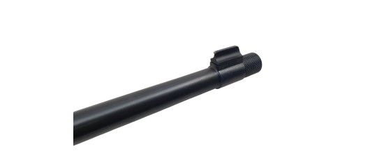 RUGER OCCASION - CARABINE SEMI-AUTO RUGER 10/22 FILETÉE CAL.22LR + LUNETTE BUSHNELL 3-9x40