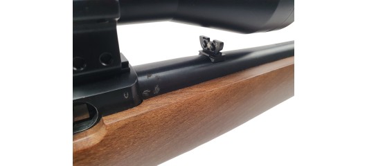 RUGER OCCASION - CARABINE SEMI-AUTO RUGER 10/22 FILETÉE CAL.22LR + LUNETTE BUSHNELL 3-9x40