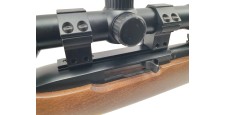 RUGER OCCASION - CARABINE SEMI-AUTO RUGER 10/22 FILETÉE CAL.22LR + LUNETTE BUSHNELL 3-9x40