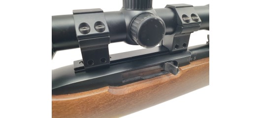 RUGER OCCASION - CARABINE SEMI-AUTO RUGER 10/22 FILETÉE CAL.22LR + LUNETTE BUSHNELL 3-9x40