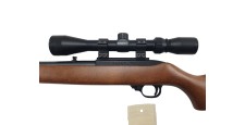 RUGER OCCASION - CARABINE SEMI-AUTO RUGER 10/22 FILETÉE CAL.22LR + LUNETTE BUSHNELL 3-9x40