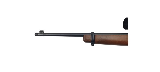 RUGER OCCASION - CARABINE SEMI-AUTO RUGER 10/22 FILETÉE CAL.22LR + LUNETTE BUSHNELL 3-9x40