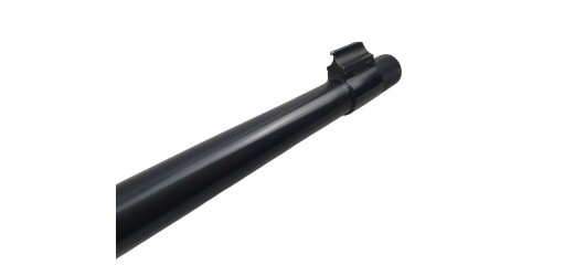 RUGER OCCASION - CARABINE SEMI-AUTO RUGER 10/22 BOIS FILETÉE CAL.22LR EXCELLENT ETAT