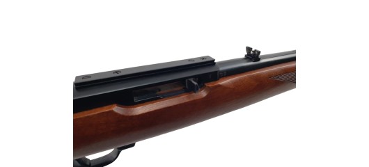 RUGER OCCASION - CARABINE SEMI-AUTO RUGER 10/22 BOIS FILETÉE CAL.22LR EXCELLENT ETAT