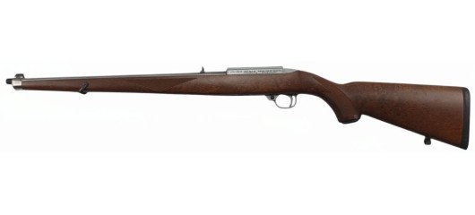 RUGER OCCASION - RARE CARABINE SEMI-AUTO RUGER 10/22 STUTZEN INOX CAL.22LR FILETÉE