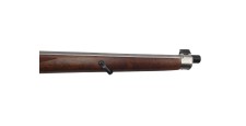 RUGER OCCASION - RARE CARABINE SEMI-AUTO RUGER 10/22 STUTZEN INOX CAL.22LR FILETÉE
