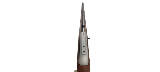 RUGER OCCASION - RARE CARABINE SEMI-AUTO RUGER 10/22 STUTZEN INOX CAL.22LR FILETÉE