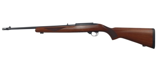 RUGER OCCASION - CARABINE SEMI-AUTO RUGER 10/22 BOIS FILETÉE CAL.22LR + FREIN DE BOUCHE