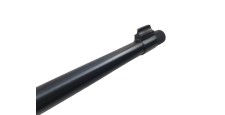 RUGER OCCASION - CARABINE SEMI-AUTO RUGER 10/22 BOIS FILETÉE CAL.22LR