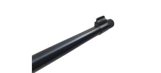 RUGER OCCASION - CARABINE SEMI-AUTO RUGER 10/22 BOIS FILETÉE CAL.22LR