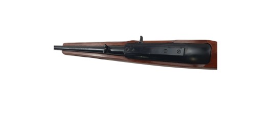 RUGER OCCASION - CARABINE SEMI-AUTO RUGER 10/22 BOIS FILETÉE CAL.22LR