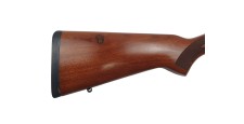 RUGER OCCASION - CARABINE SEMI-AUTO RUGER 10/22 BOIS FILETÉE CAL.22LR