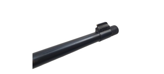 RUGER OCCASION - CARABINE SEMI-AUTO RUGER 10/22 BOIS FILETÉE CAL.22LR