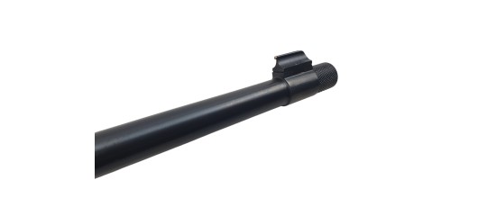 RUGER OCCASION - CARABINE SEMI-AUTO RUGER 10/22 BOIS FILETÉE CAL.22LR